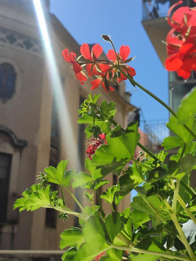Casta Diva Holiday Rooms كاتانيا المظهر الخارجي الصورة